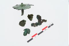 Foto von Bronzehelmscheibe (NHMW-PRAE-025056)